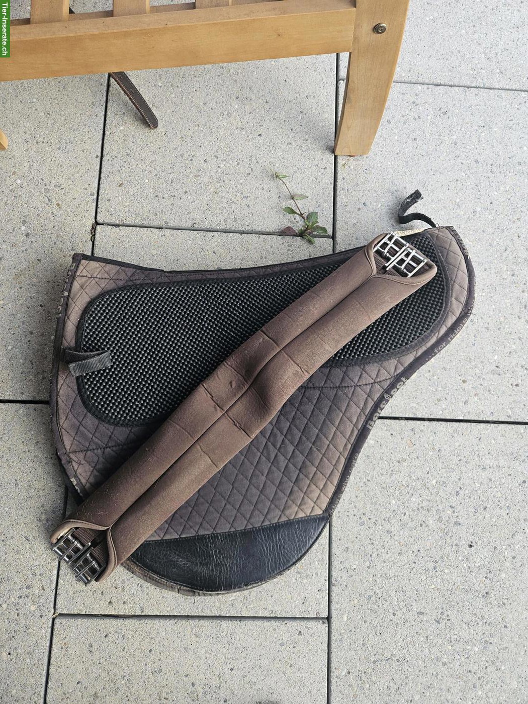 Bild 5: Barefoot Sattel, Modell Nottingham, Sitzgrösse 1