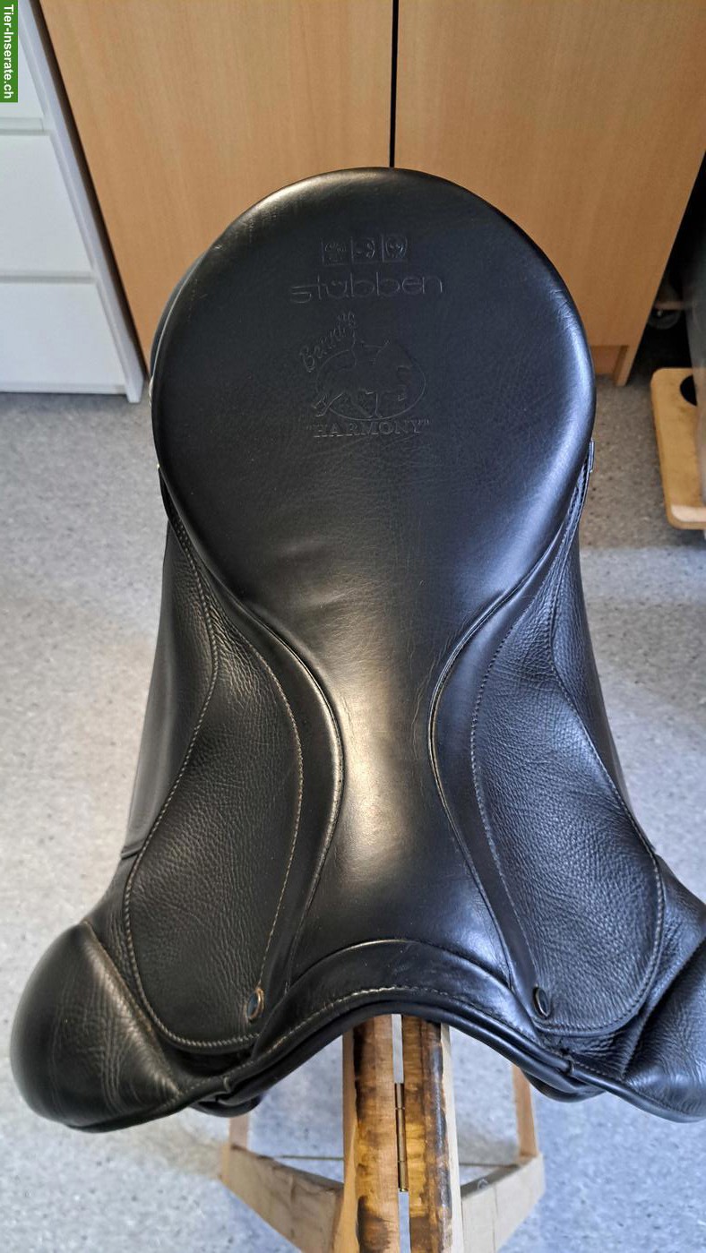 Bild 2: Stübben Focus Sattel 17.5 Zoll zu verkaufen
