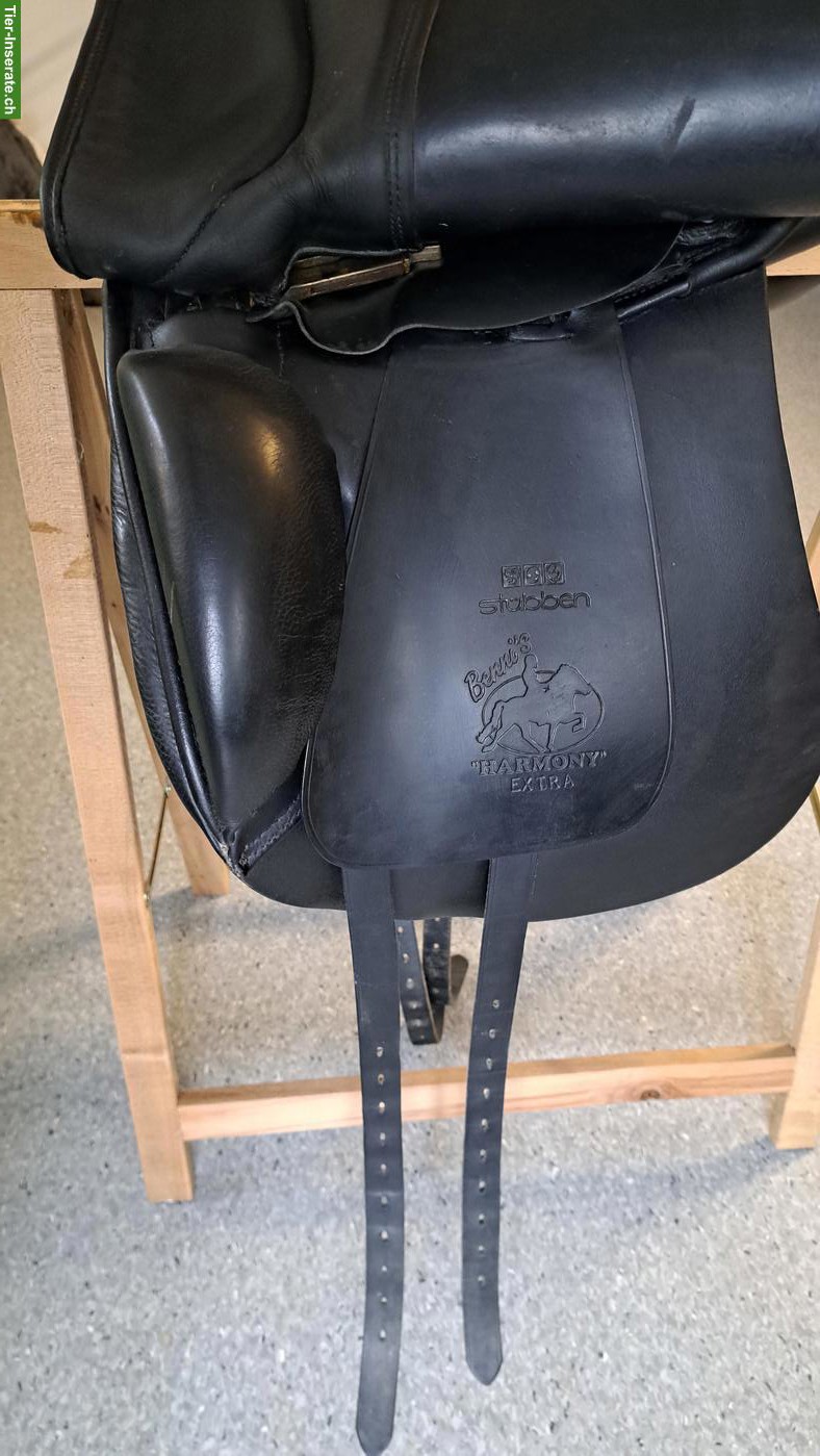 Bild 4: Stübben Focus Sattel 17.5 Zoll zu verkaufen