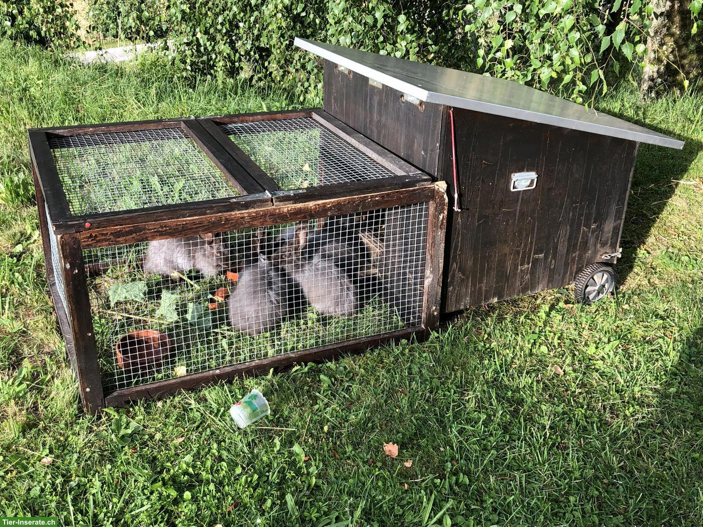 Kleintierstall mit Auslauf zu verkaufen