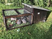 Kleintierstall mit Auslauf zu verkaufen