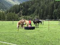 Sommer im Engadin: Offenstall mit Weiden zu vermieten