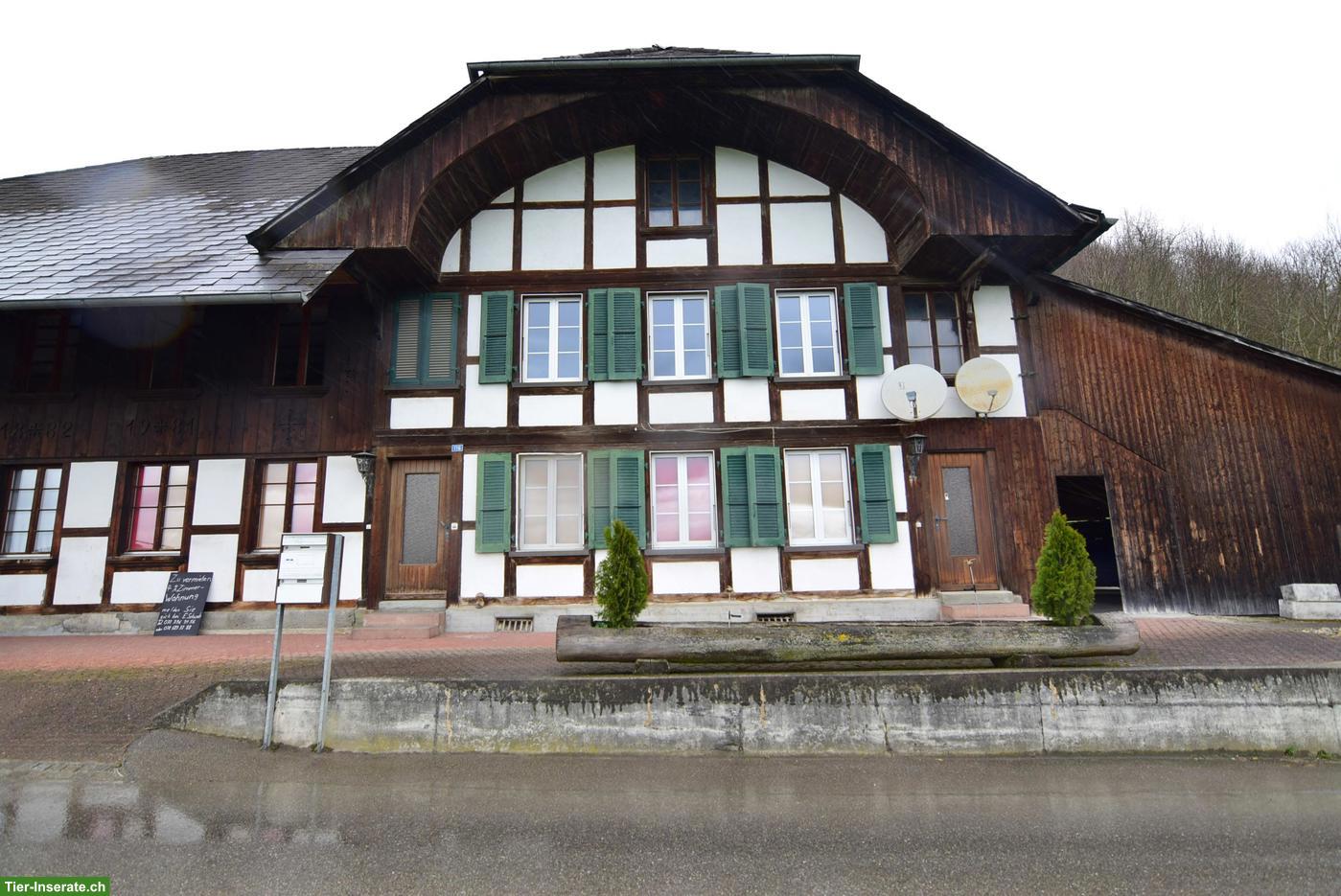 Bild 7: Heimelige 4.5-Zimmer-Wohnung in Bauernhaus, Brittern SO
