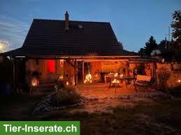 Bauernhaus, kleines Haus, Parterrewohnung-Bauernhaus, Stöckli