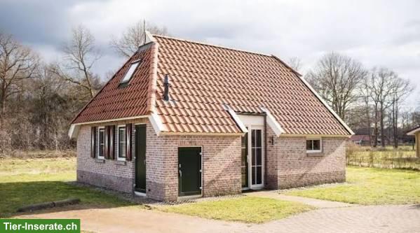 Bild 2: Bauernhaus, kleines Haus, Parterrewohnung-Bauernhaus, Stöckli