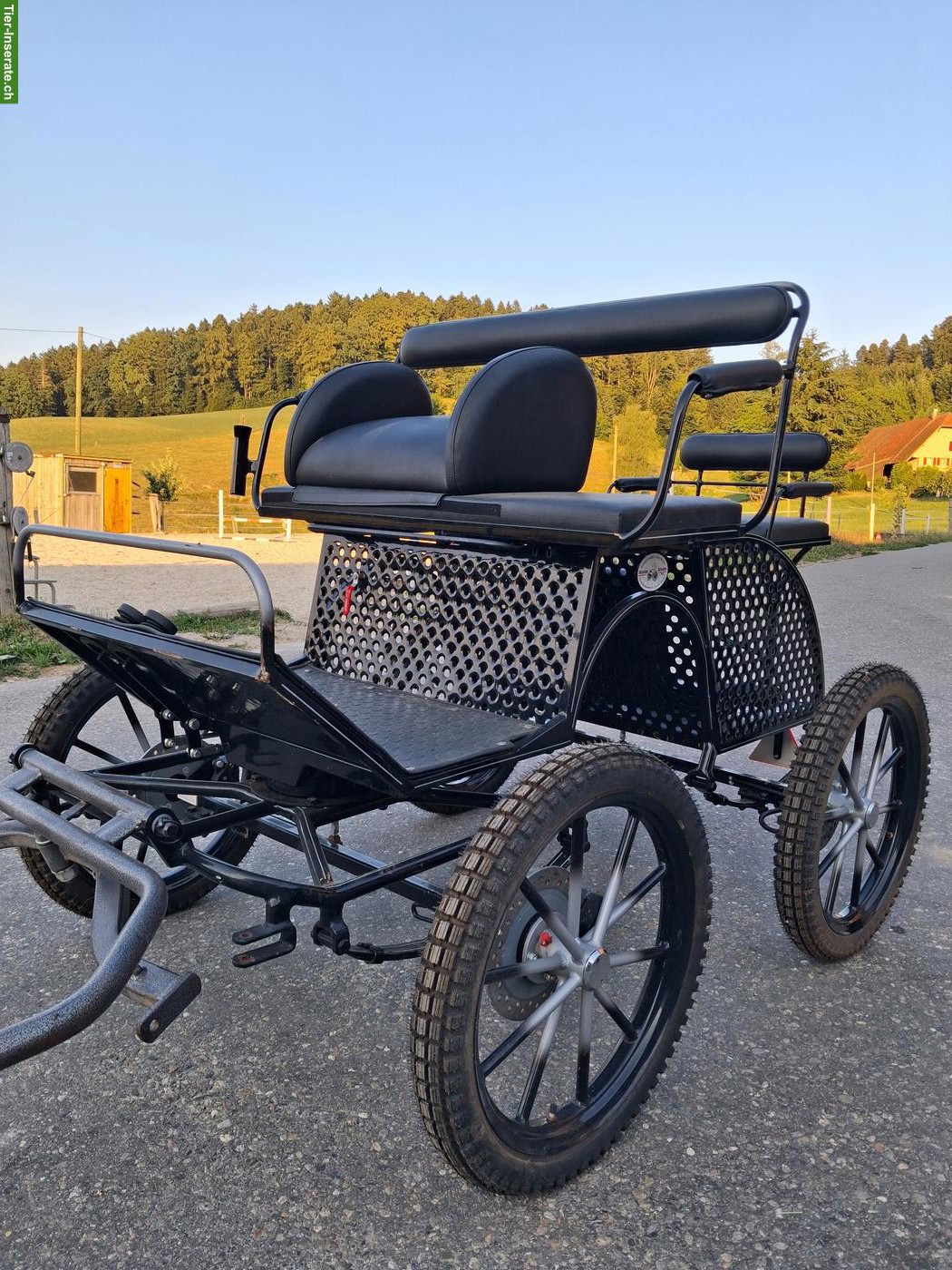 Bild 3: Neuwertige Ponykutsche Kurmann zu verkaufen