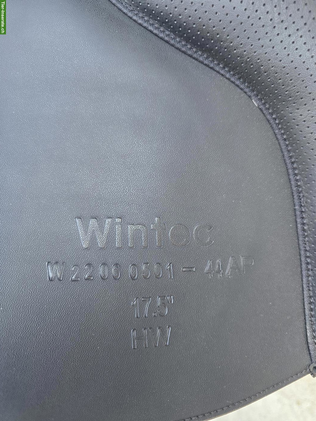 Bild 5: Wintec 2000 Sattel 17.5 Zoll zu verkaufen
