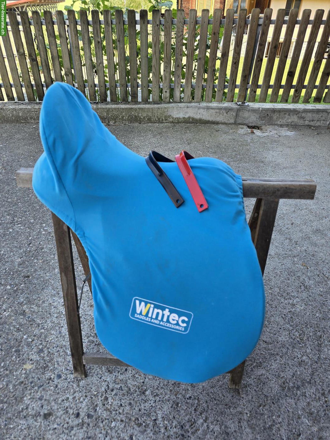 Bild 8: Wintec 2000 Sattel 17.5 Zoll zu verkaufen