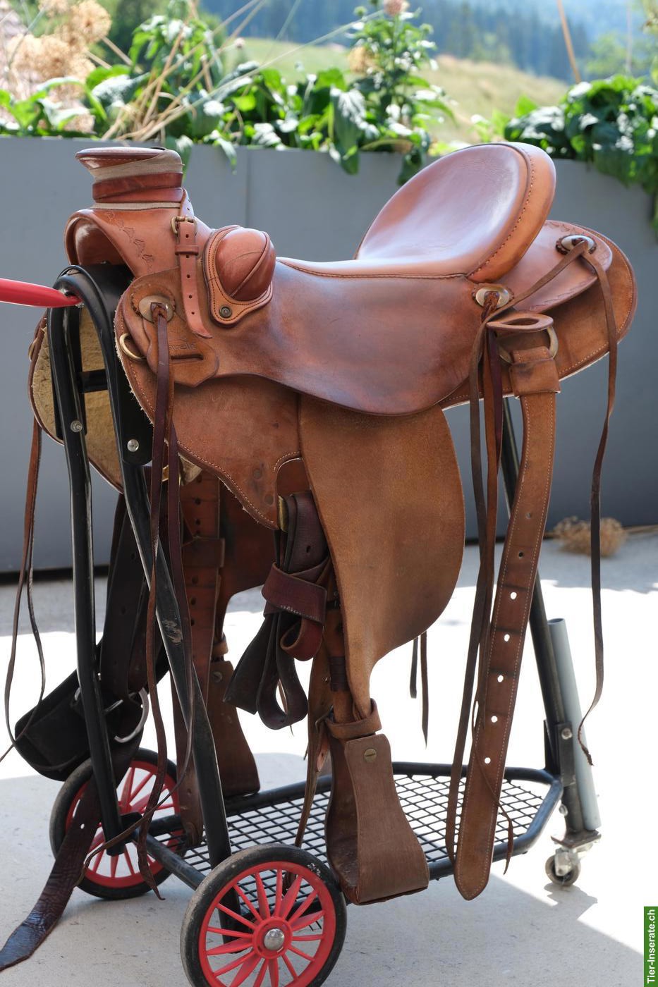 Bild 2: Originaler Parelli Ranch Roper Westernsattel 16 Zoll Superwide
