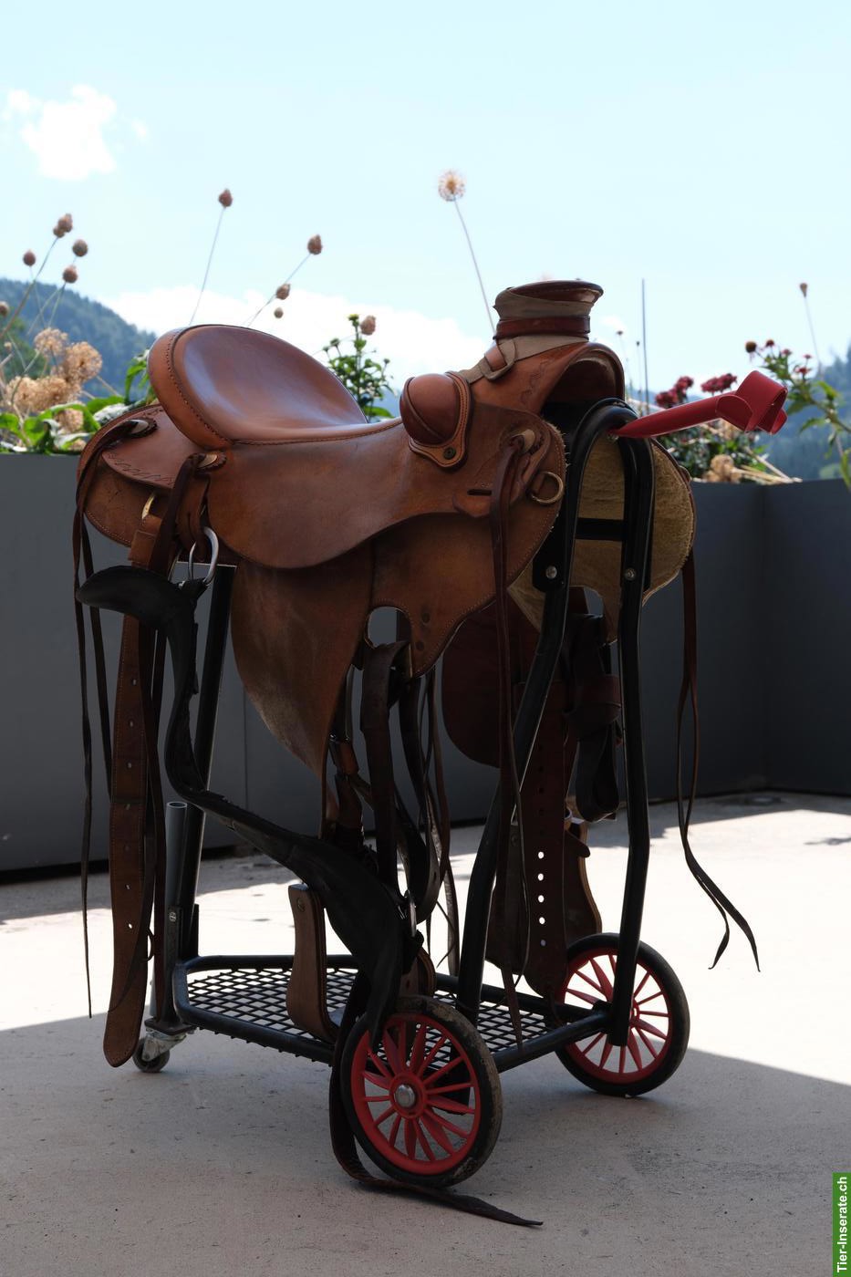 Bild 3: Originaler Parelli Ranch Roper Westernsattel 16 Zoll Superwide