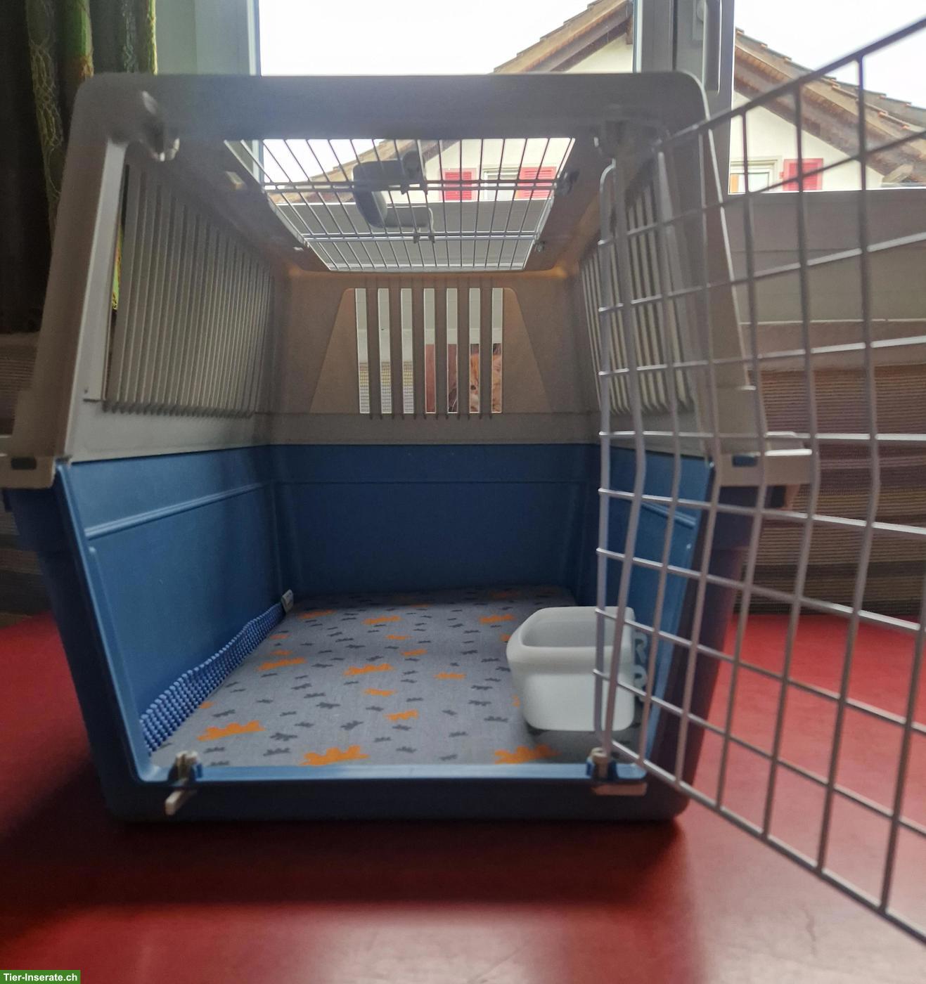 Bild 3: Ferplast Transportbox Atlas zu verkaufen