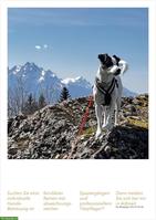 Biete Hundesitting / Hundetagesbetreuung / Hundeferien in Adliswil ZH