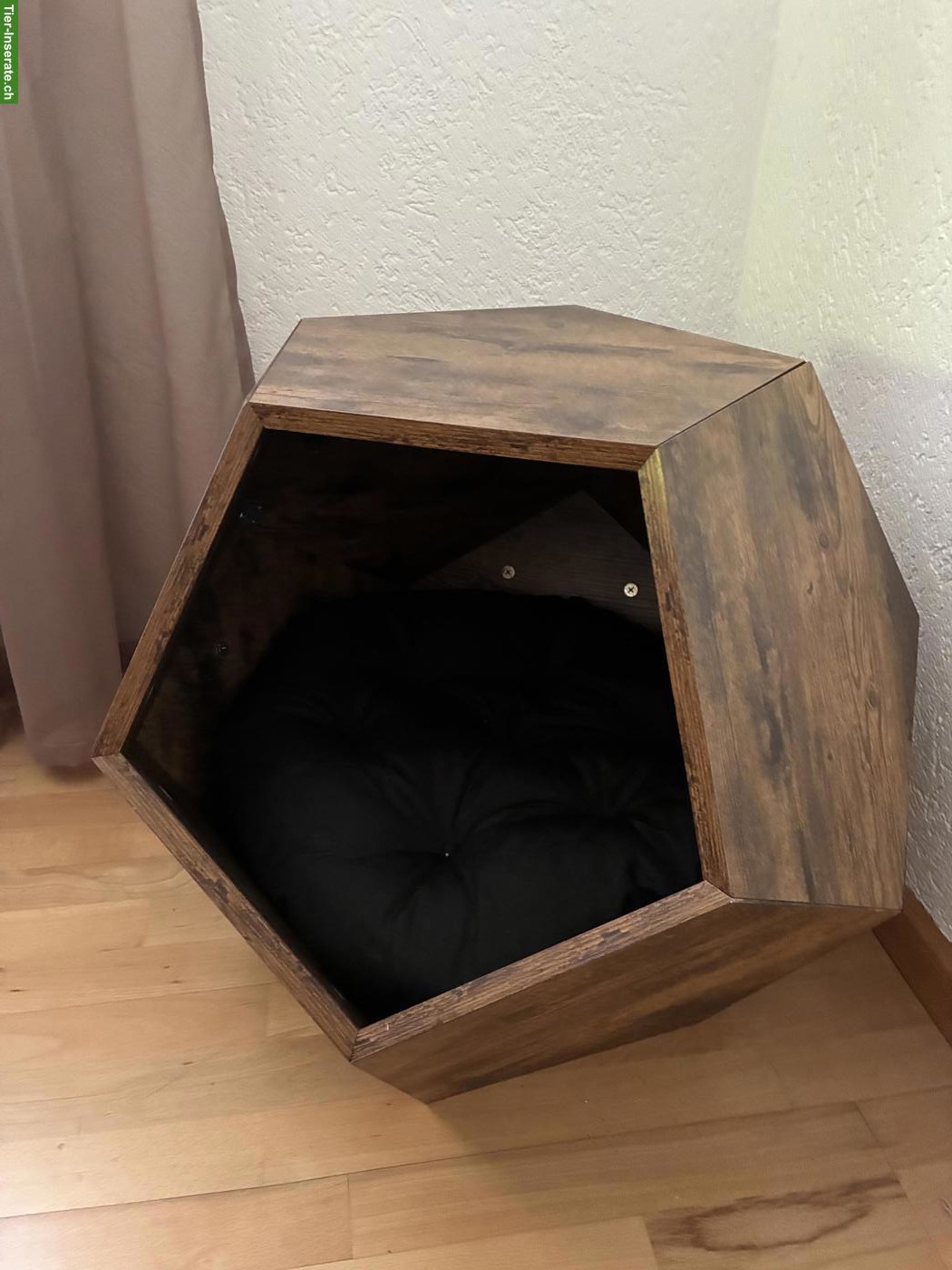 Bild 7: Sphynx Katze, anthrazit, weiblich