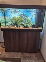 Aquarium RIO Juwel 350 L