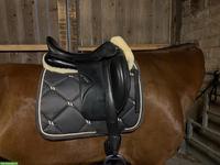 Amerigo Dressursattel 18.5 Zoll zu verkaufen