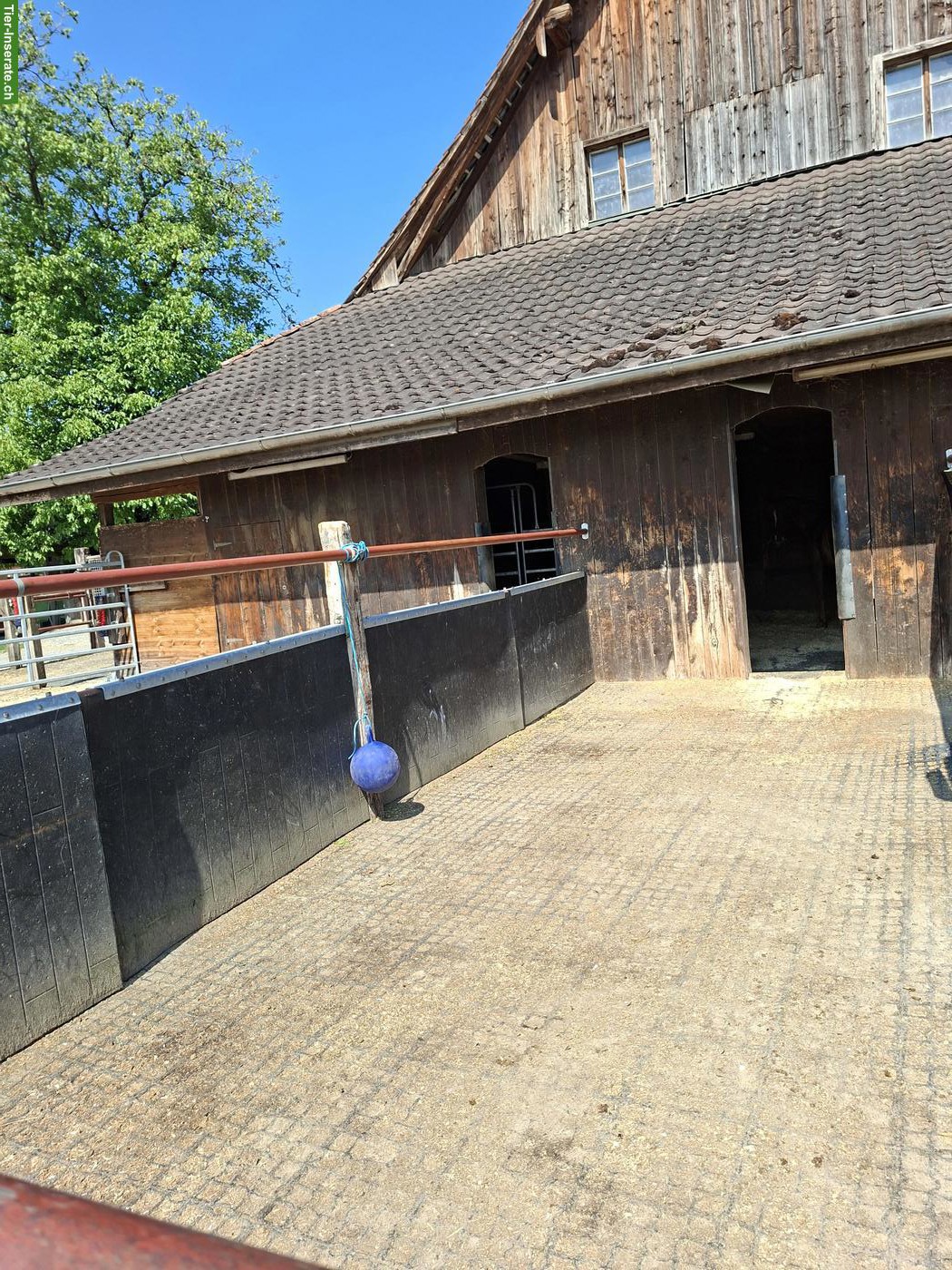 Bild 2: Auslaufbox frei Kanton Zug - Grenze Knonaueramt