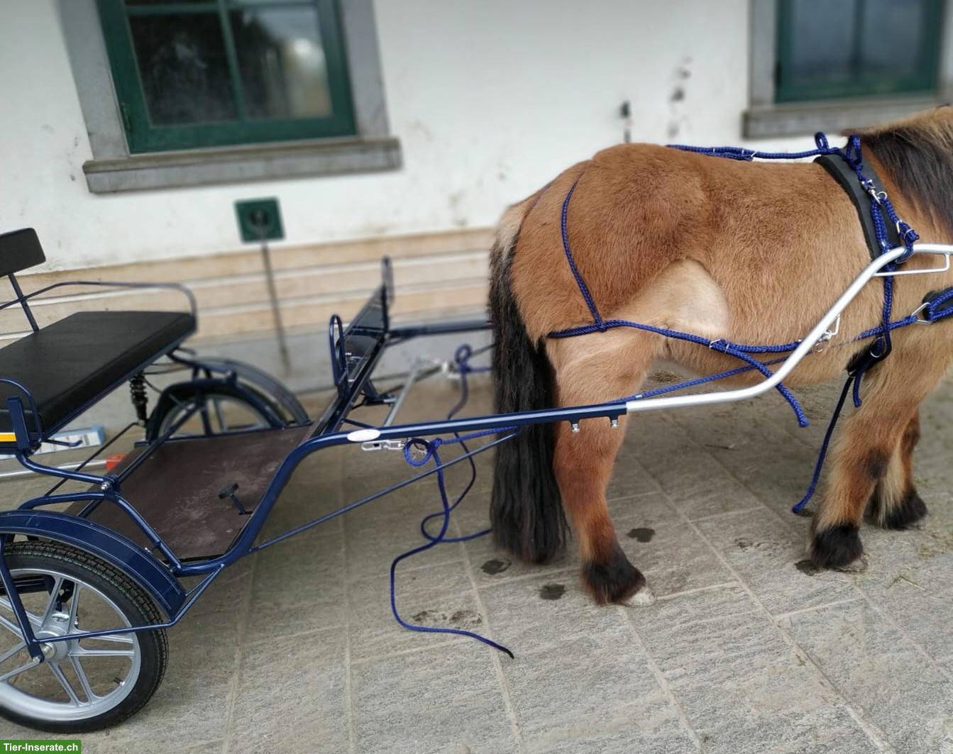 Tolle Maier-Sulky Gig, bis Stockmass 1.40m