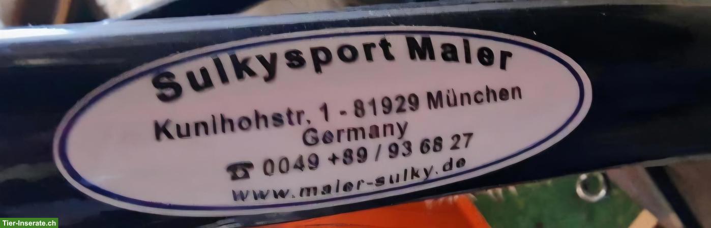Bild 2: Tolle Maier-Sulky Gig, bis Stockmass 1.40m