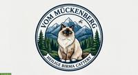 Zauberhafte Heilige Birma Kitten „vom Mückenberg“ 🐾