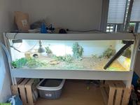 XXL Terrarium gratis abzugeben
