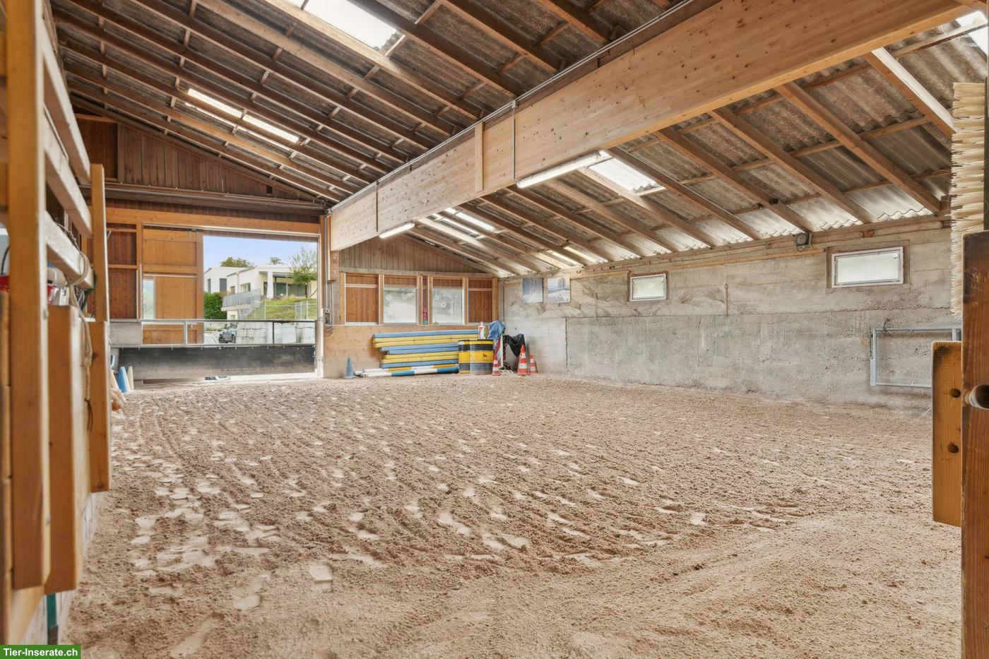 Kernsanierte Reitsportimmobilie in Bözen AG