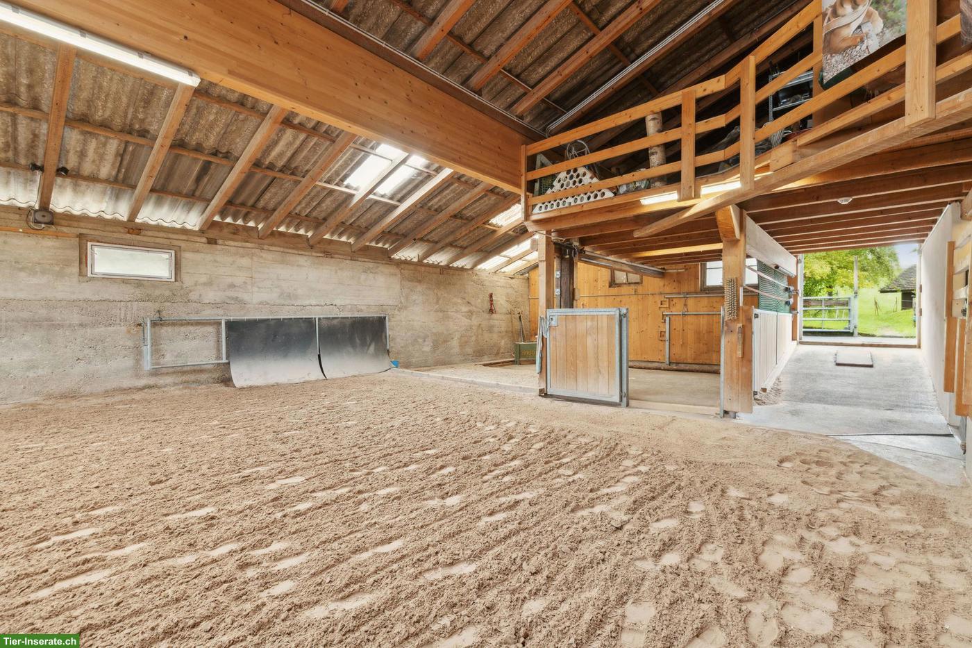 Bild 2: Kernsanierte Reitsportimmobilie in Bözen AG