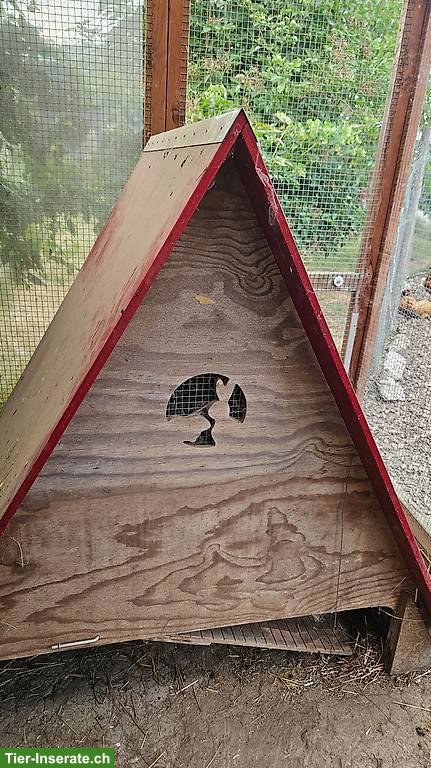Kaninchenstall SILEA Niesenhütte inkl. Aussengehege, gratis abzugeben