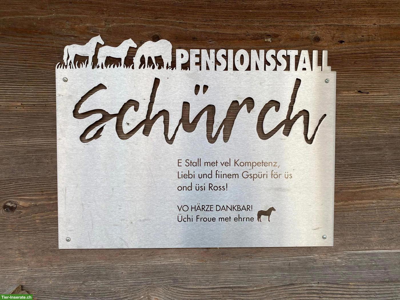Bild 2: Freier Platz in Einzel-Auslaufbox mit Weidezugang in Sempach LU