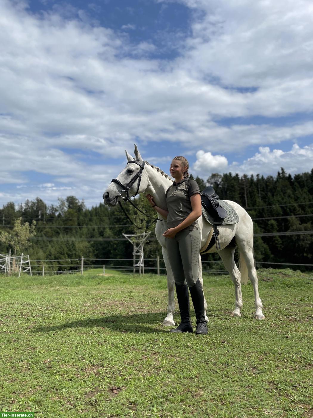 Bild 7: Reitbeteiligung auf hübscher Sport Stute in Wohlen bei Bern