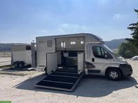 Pferdetransporter Peugeot Equi-Trek Selbstfahrer