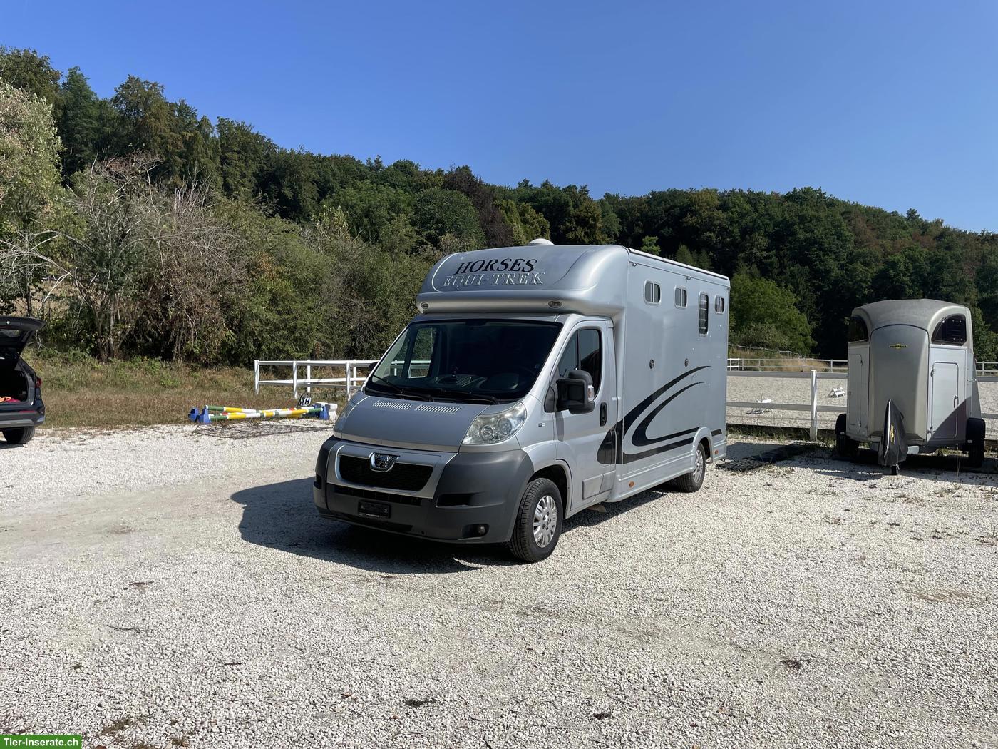 Bild 2: Pferdetransporter Peugeot Equi-Trek Selbstfahrer