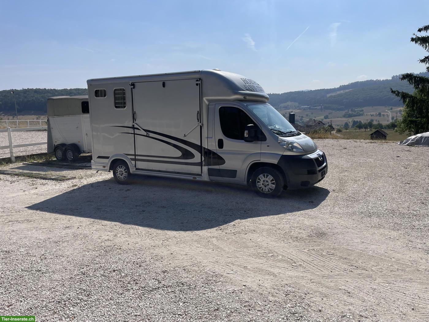 Bild 3: Pferdetransporter Peugeot Equi-Trek Selbstfahrer