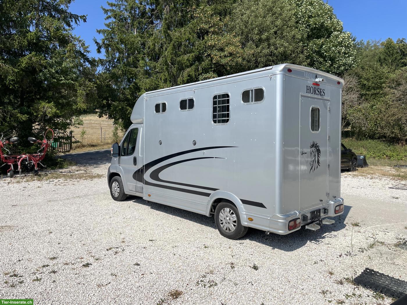 Bild 4: Pferdetransporter Peugeot Equi-Trek Selbstfahrer