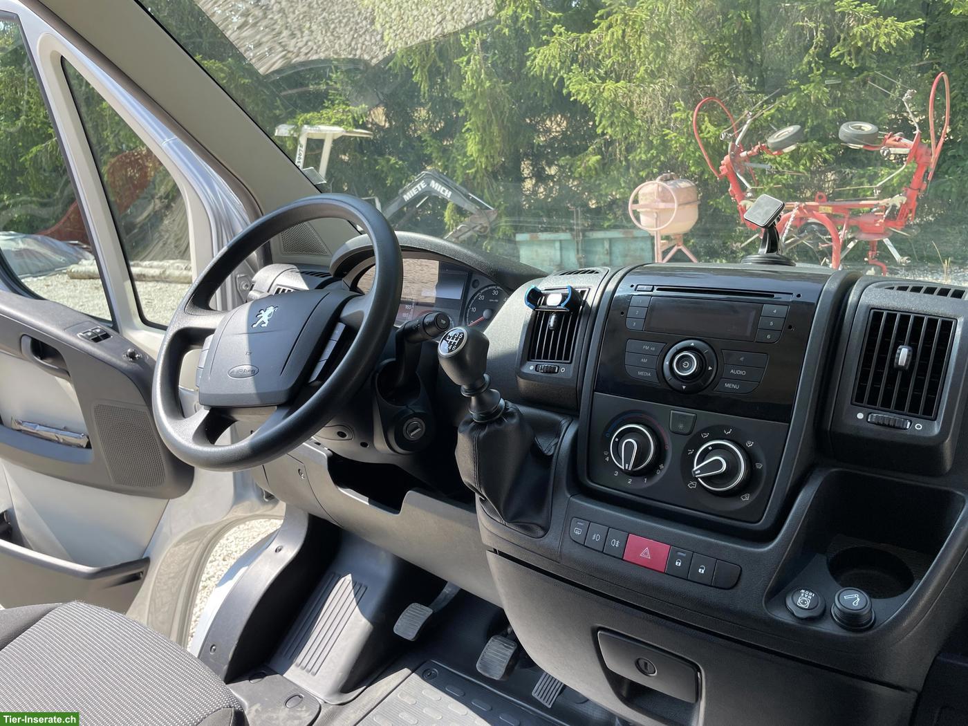 Bild 9: Pferdetransporter Peugeot Equi-Trek Selbstfahrer