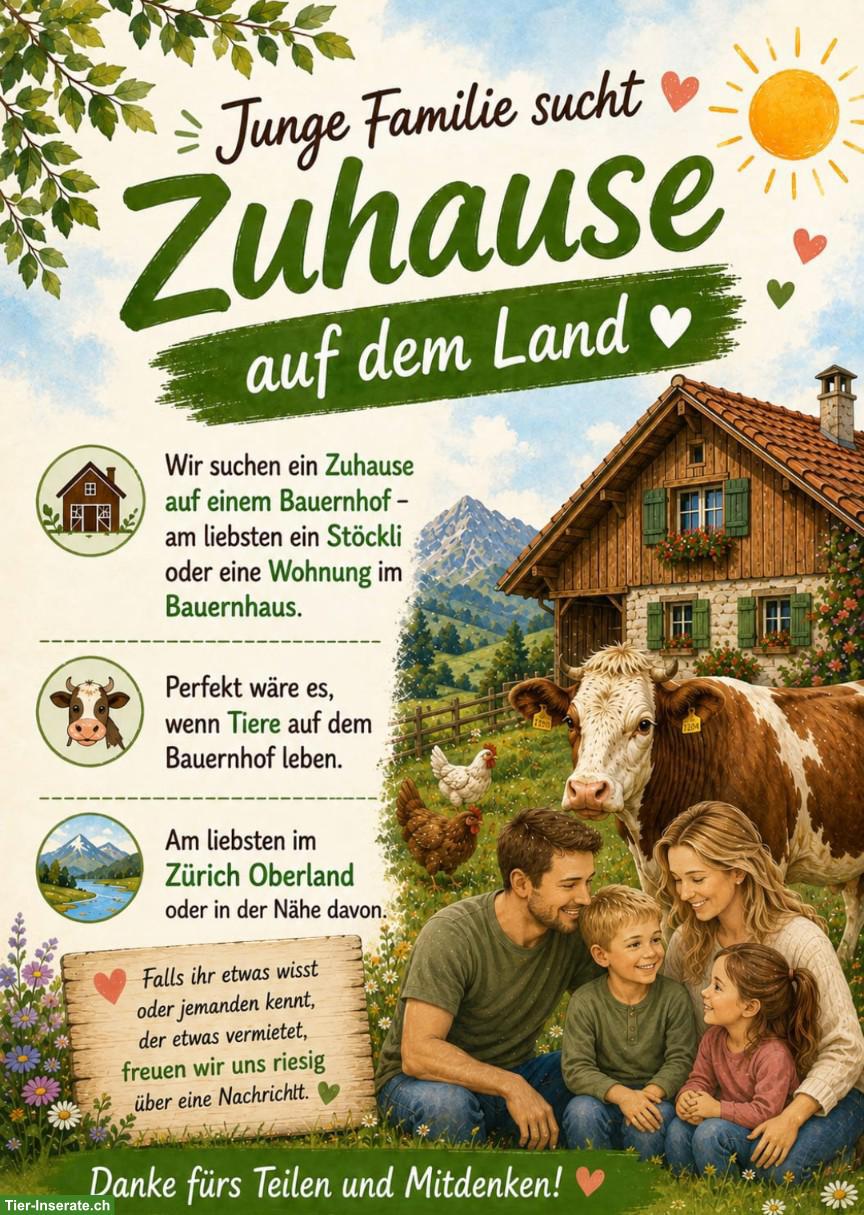 Junge Familie sucht Zuhause auf dem Land, Region ZH-Oberland