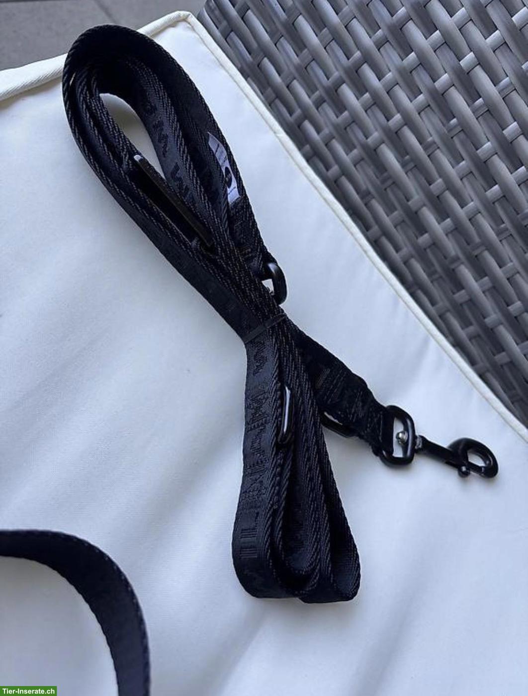 Bild 2: William Walker Halsband und Leine zu verkaufen