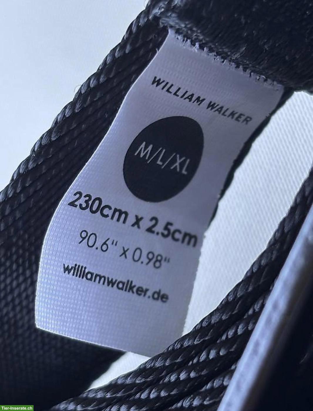 Bild 3: William Walker Halsband und Leine zu verkaufen