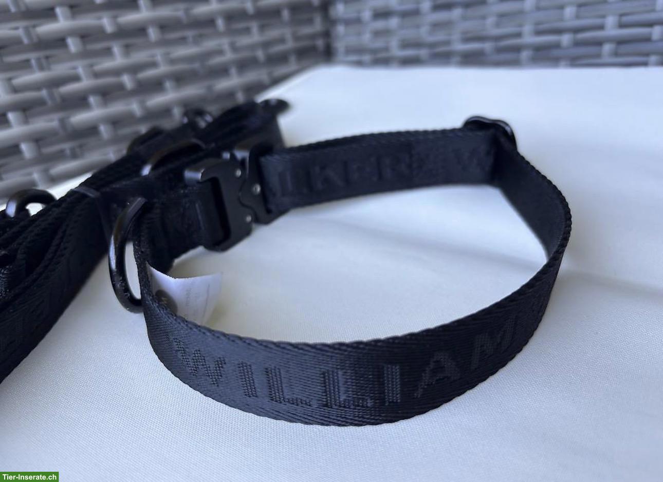 Bild 4: William Walker Halsband und Leine zu verkaufen