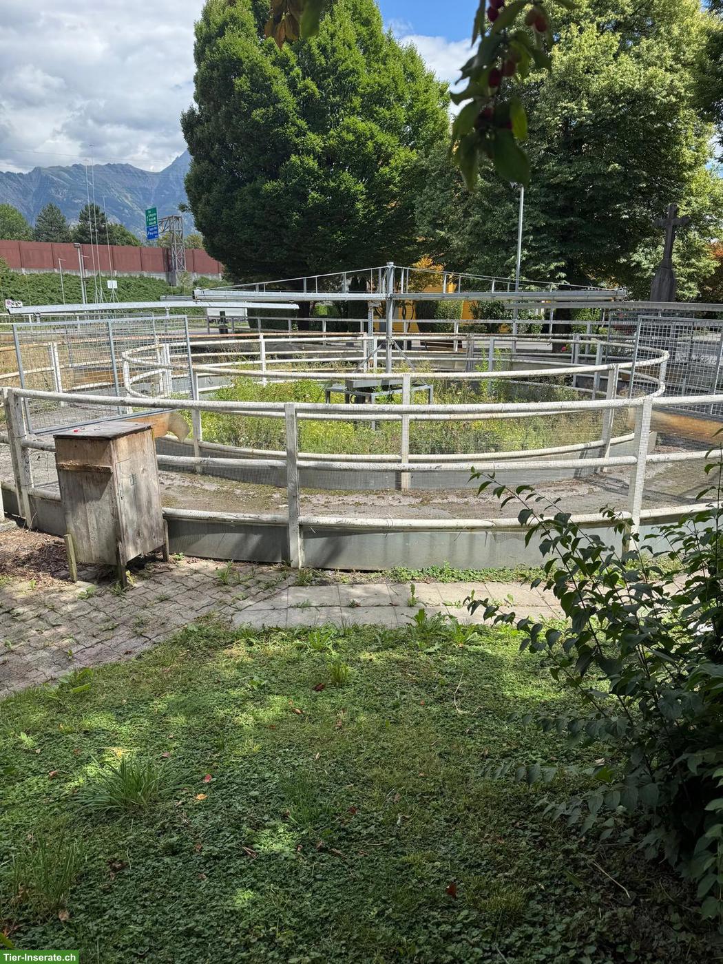 Bild 2: Pferdeführanlage für 5 Pferde zu verkaufen