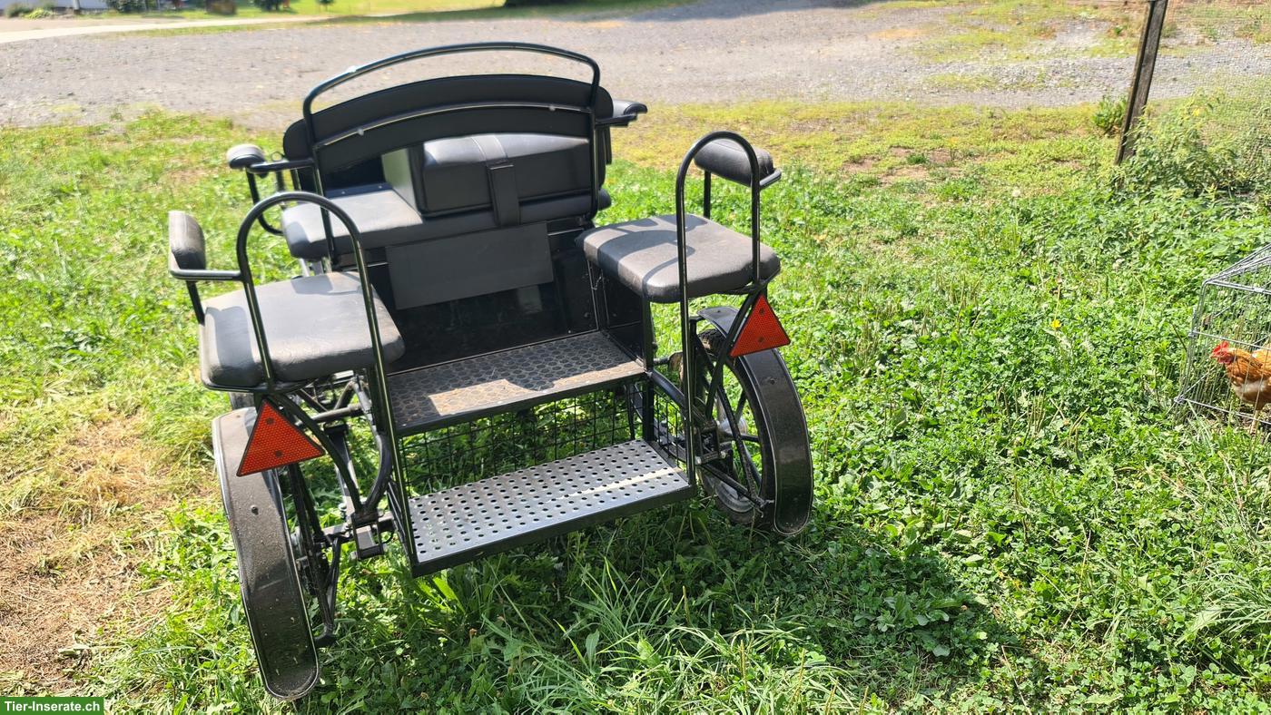Bild 3: Shetty-Kutsche Wagonette Kami zu verkaufen