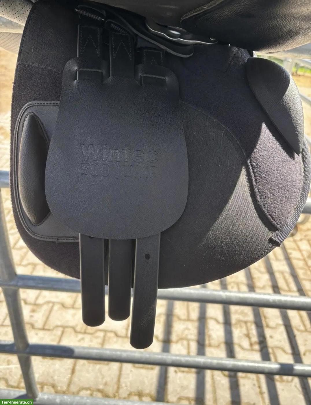 Bild 3: Wintec Vielseitigkeitssattel 17 Zoll zu verkaufen