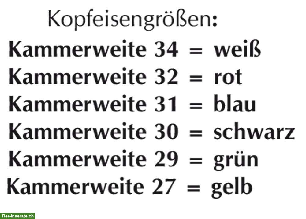 Bild 6: Wintec Vielseitigkeitssattel 17 Zoll zu verkaufen