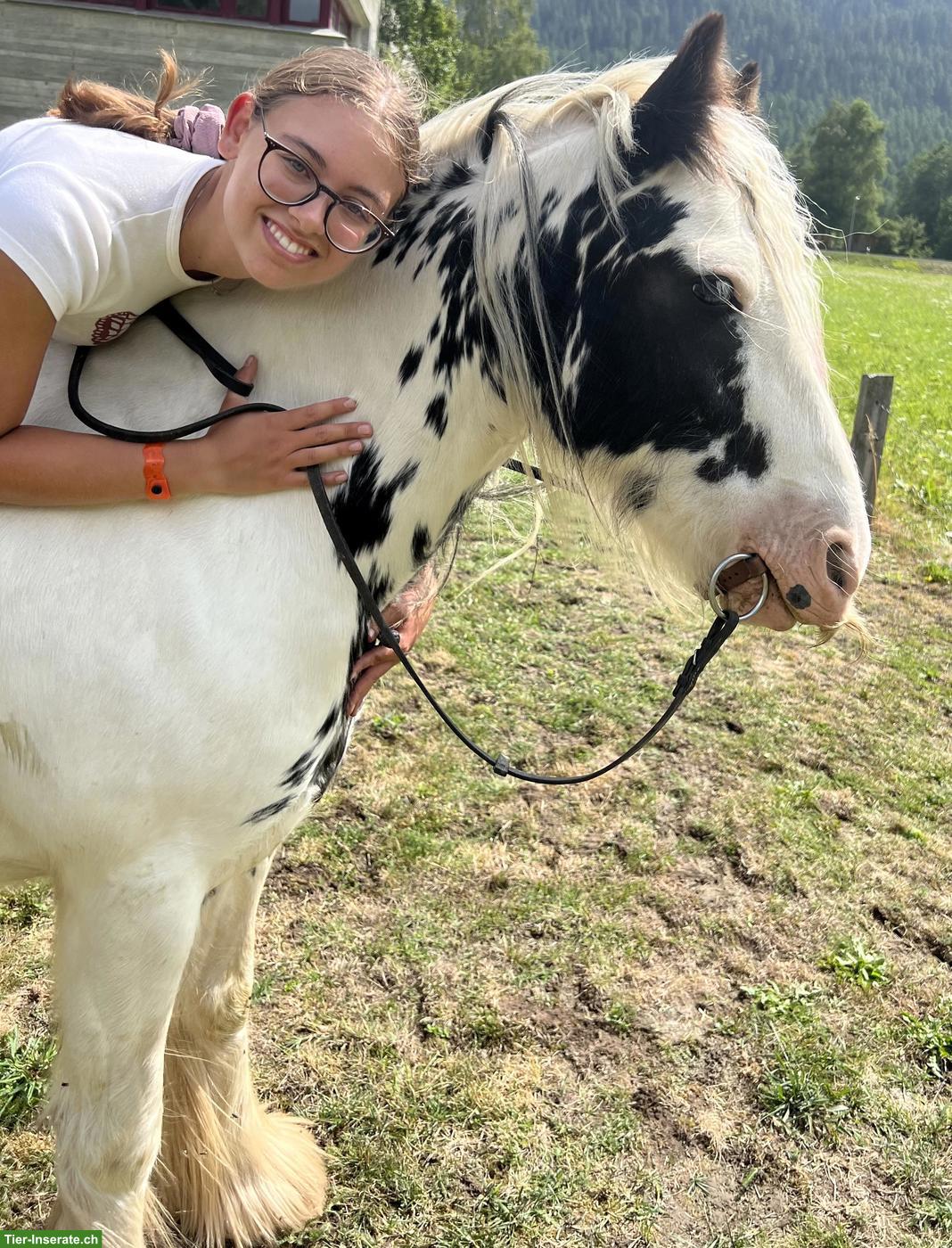 Bild 3: Liebenswerte Pony Stute, 8-jährig zu verkaufen