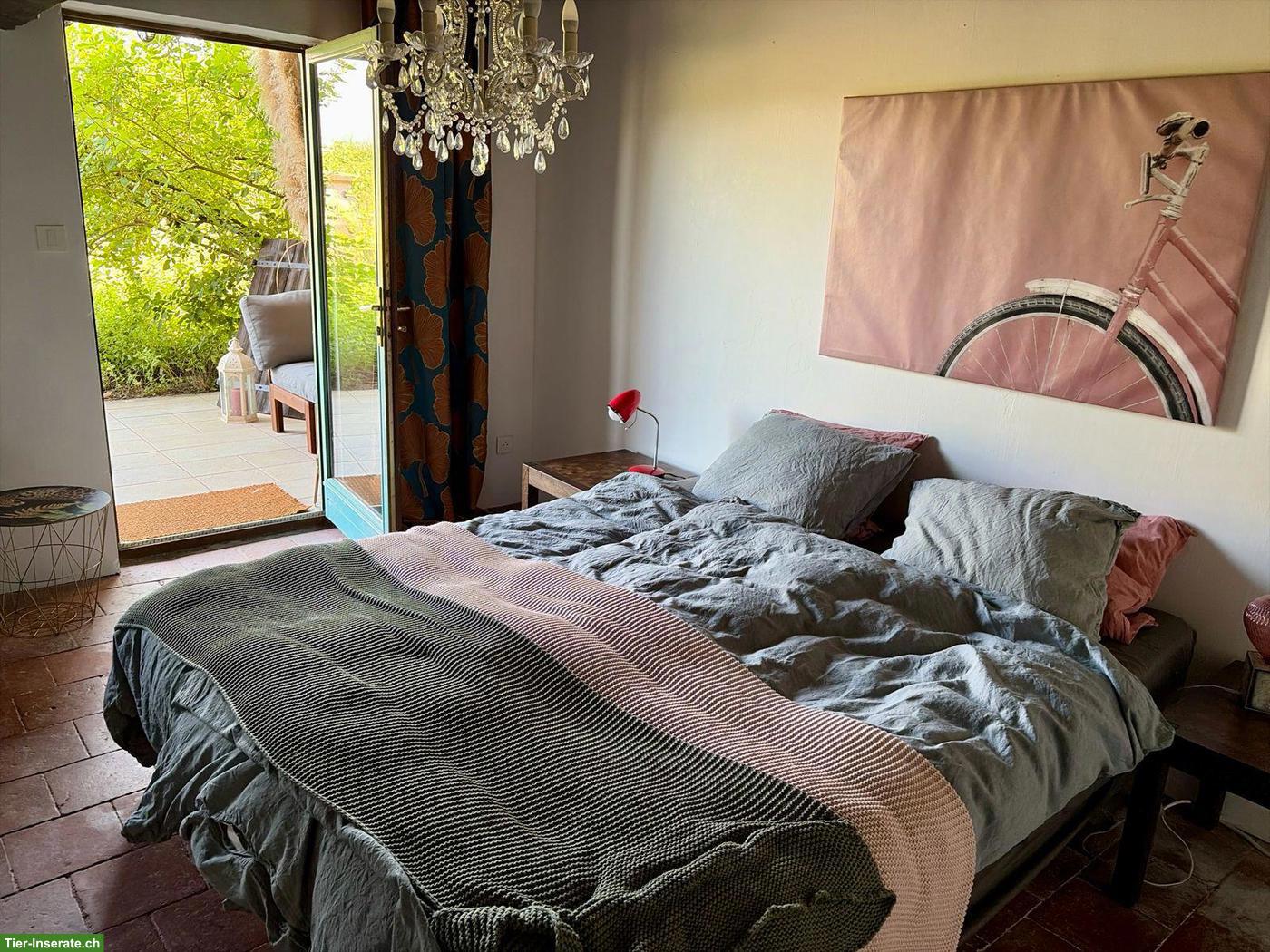 Bild 6: Charmantes Landhaus mit B&B und Pferdeanlage in Frankreich
