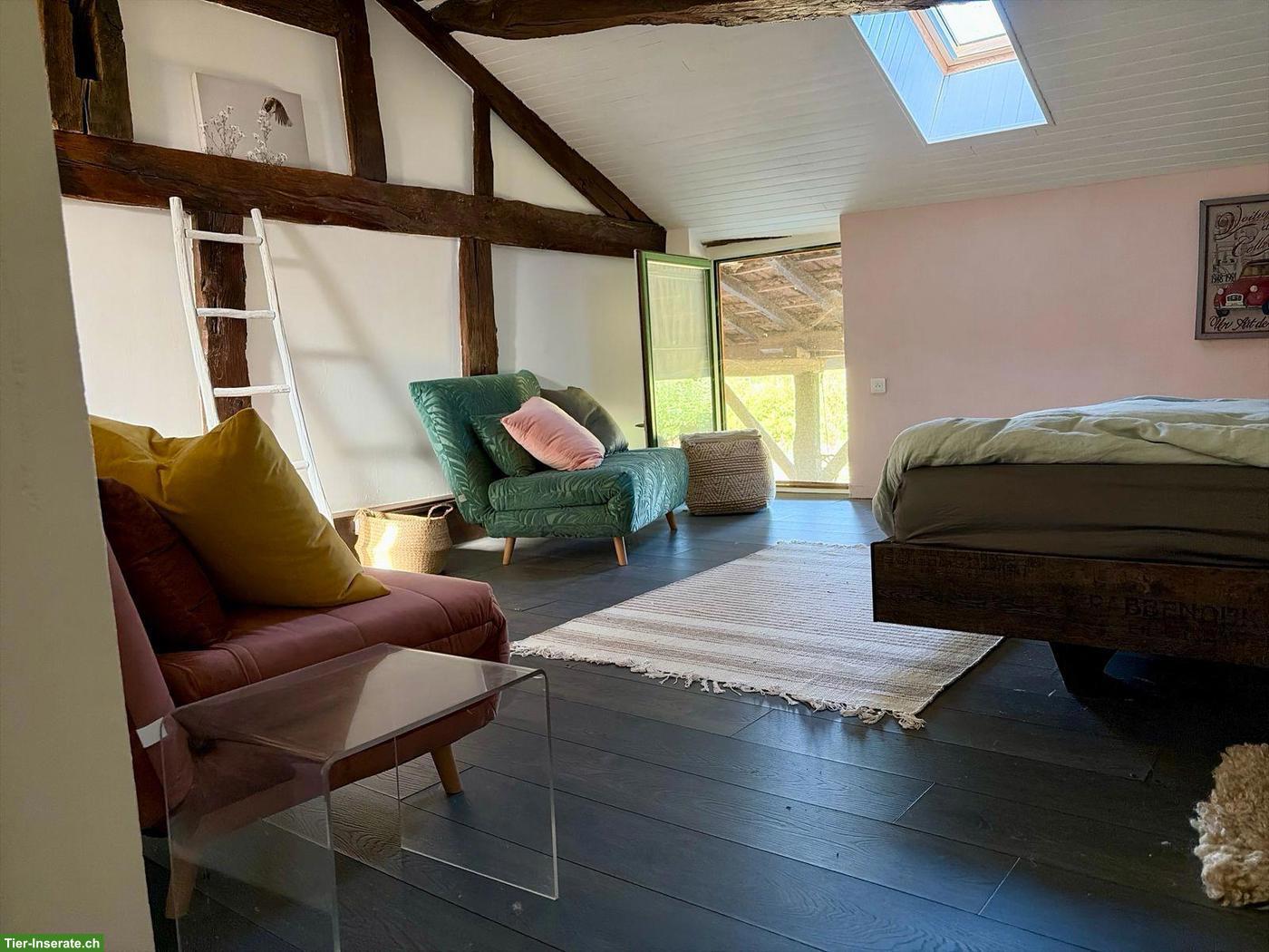 Bild 8: Charmantes Landhaus mit B&B und Pferdeanlage in Frankreich