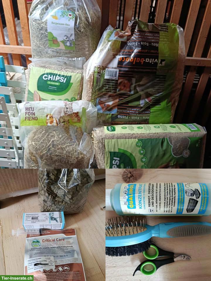 Bild 4: Meerschweinchen-Stall mit viel Zubehör - perfektes Starterkit