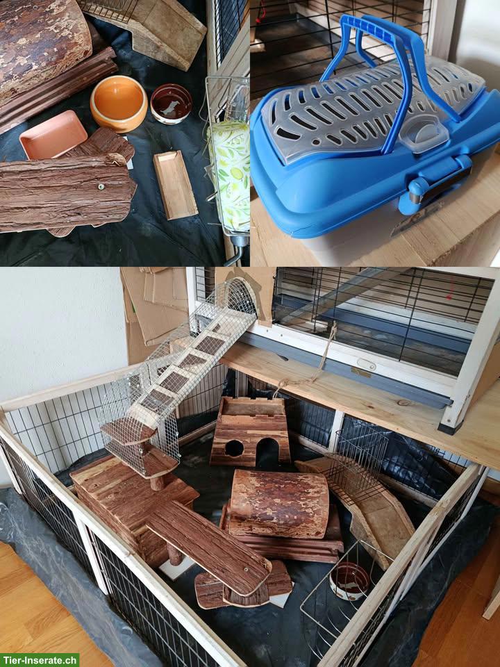 Bild 5: Meerschweinchen-Stall mit viel Zubehör - perfektes Starterkit