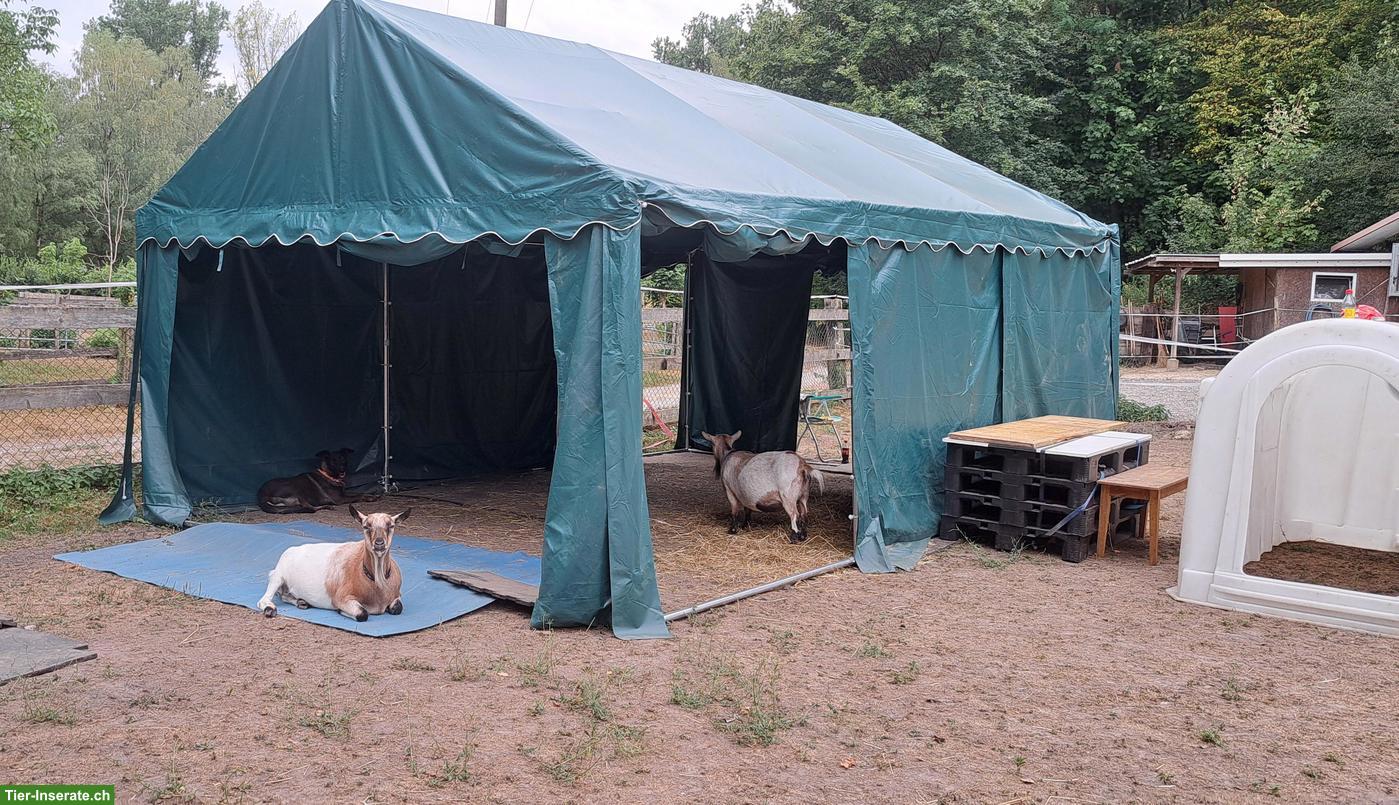 Weidezelt 4x6m mit Bodenrahmen + 800 PVC Plane