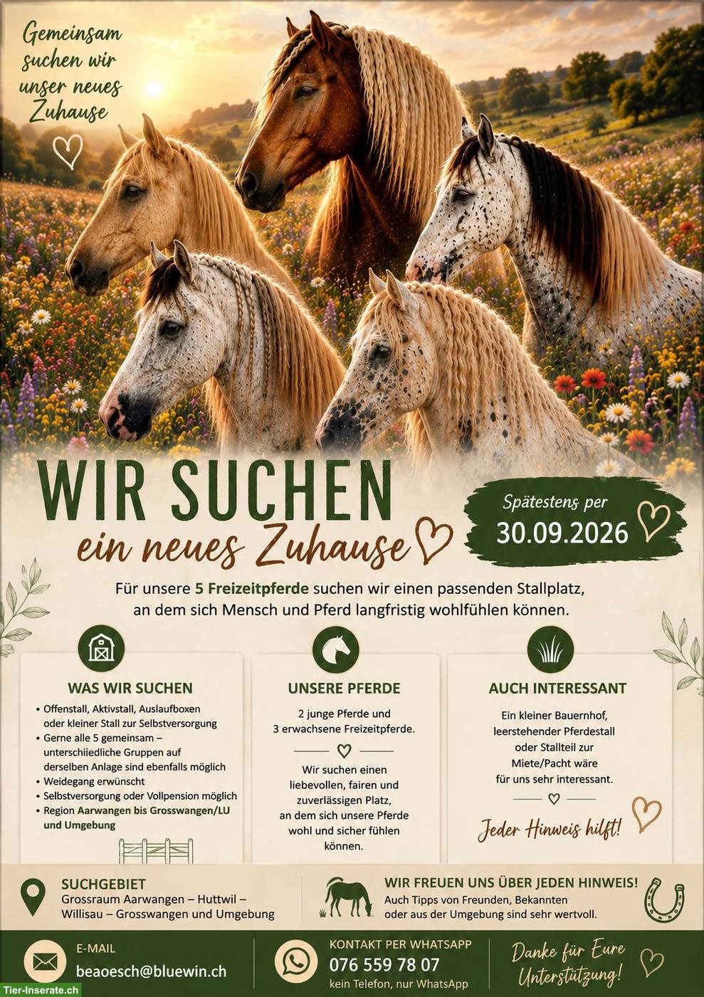 Suchen Pferdeboxe/Stall für 5 Pferde | Aarwangen - Huttwil - Willisau