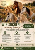 Suchen Pferdeboxe/Stall für 5 Pferde | Aarwangen - Huttwil - Willisau